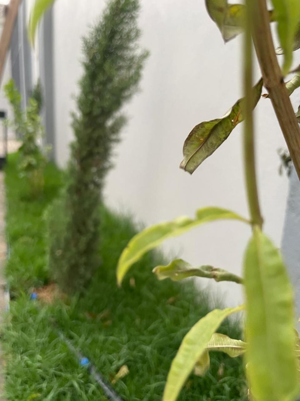 Garden Land Aparthotel Khamis Mushait Exterior photo